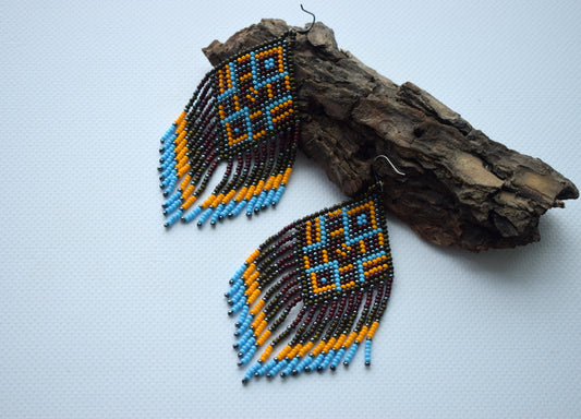 These are Native american beaded earrings