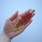 Minimalist red beaded earrings